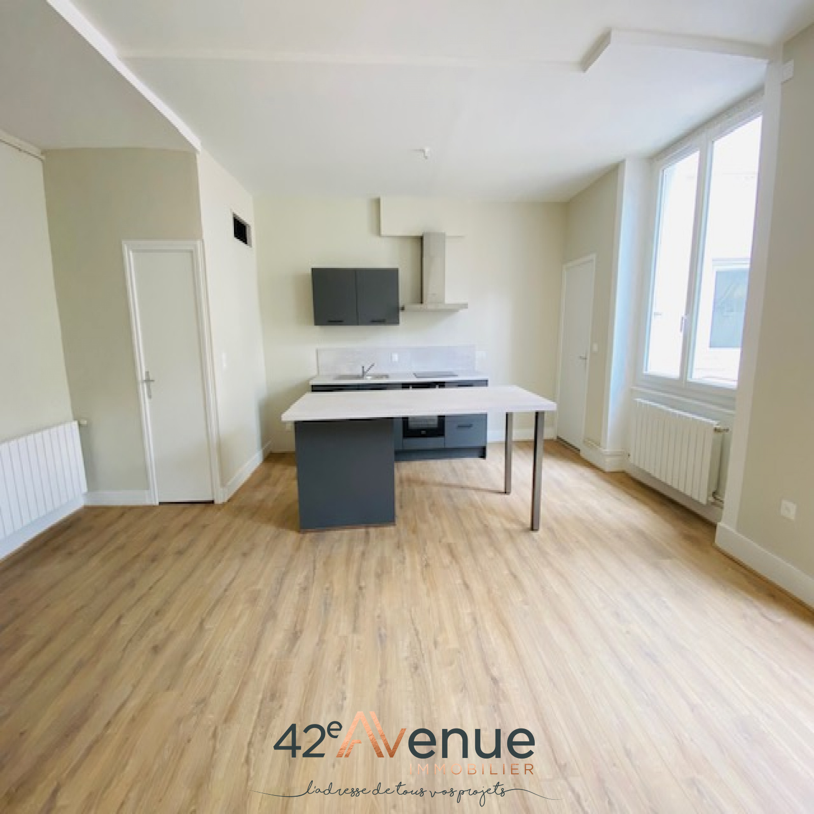 Image_, Appartement, Saint-Étienne, ref :38000-2499