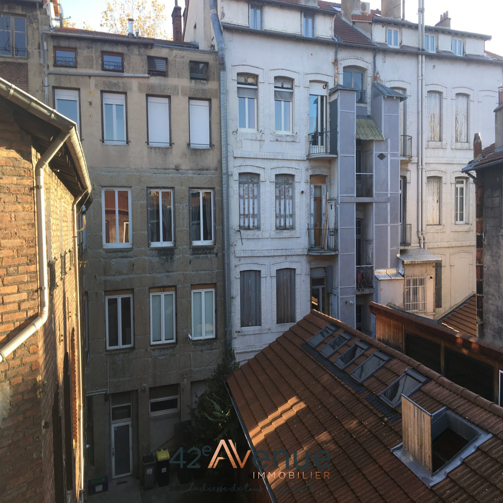 Image_, Appartement, Saint-Étienne, ref : 1006