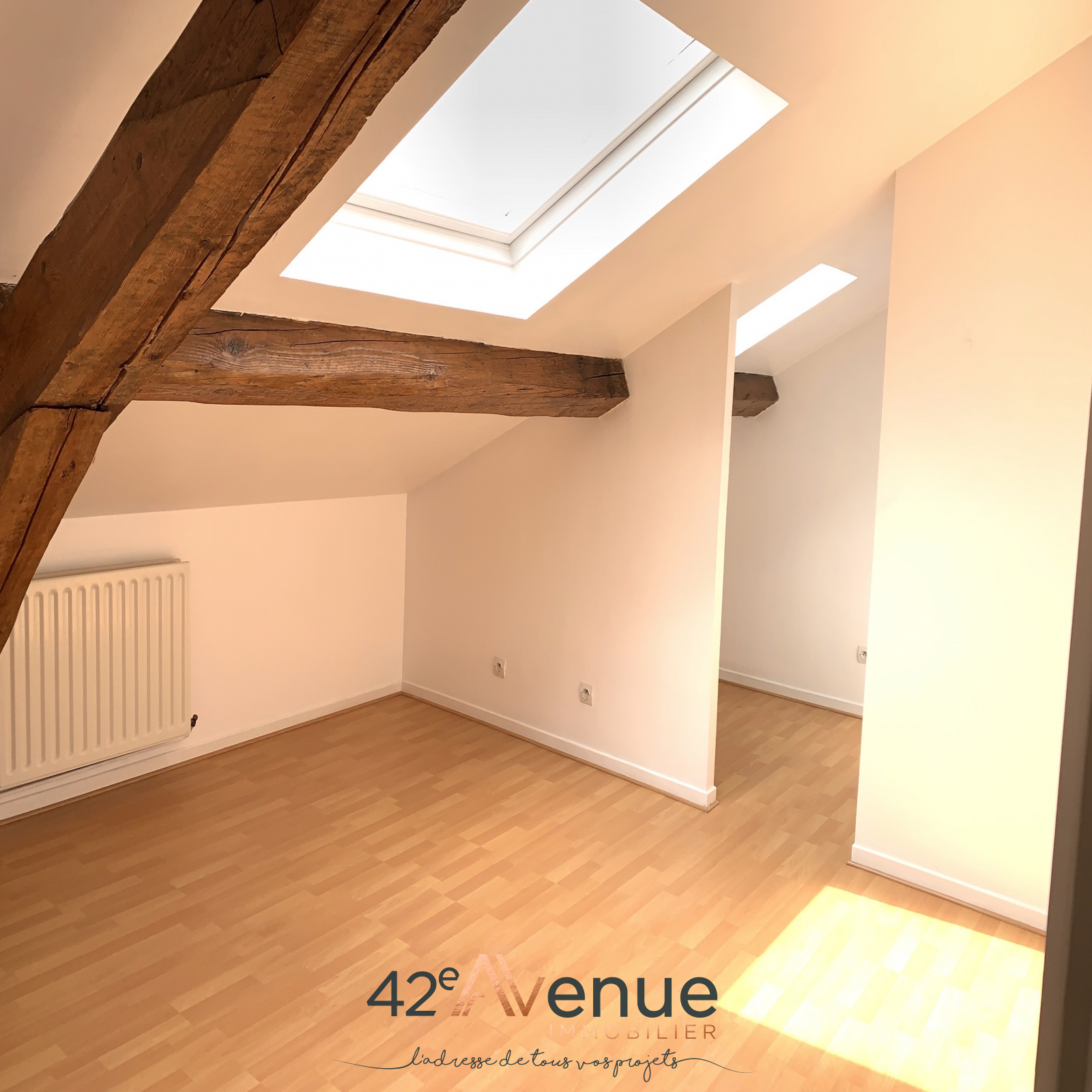 Image_, Appartement, Saint-Étienne, ref :2051