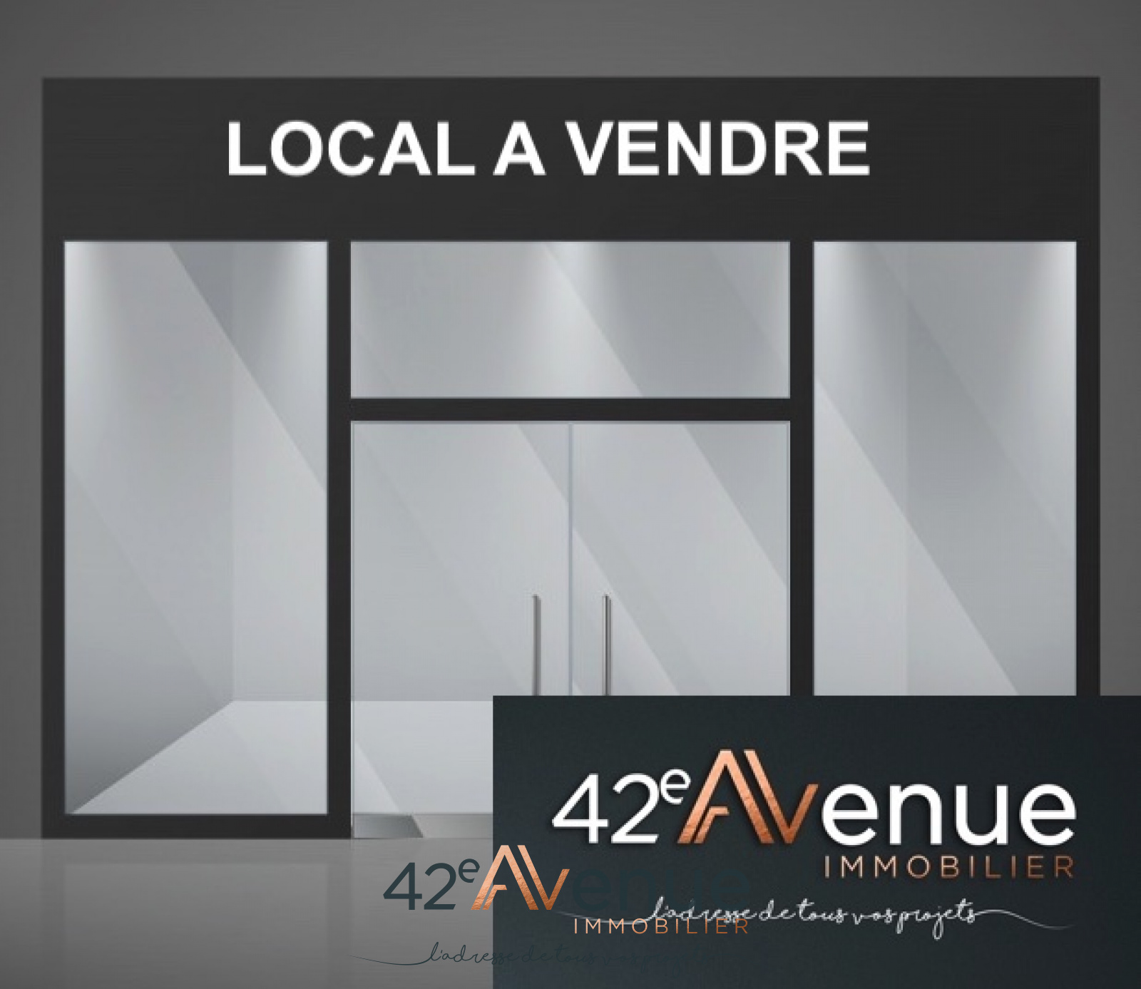 Image_, Local commercial, Saint-Étienne, ref :BSVCO250003051