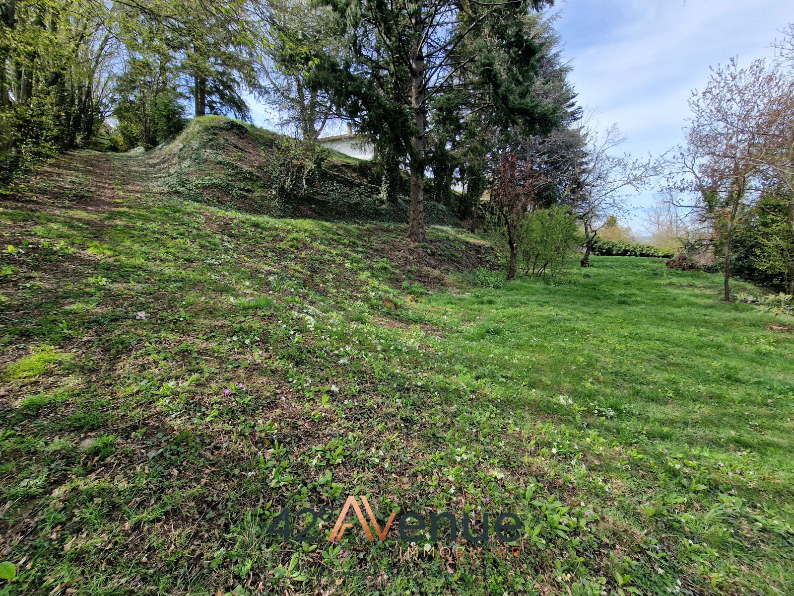 Image_, Terrain, Saint-Étienne, ref :2116