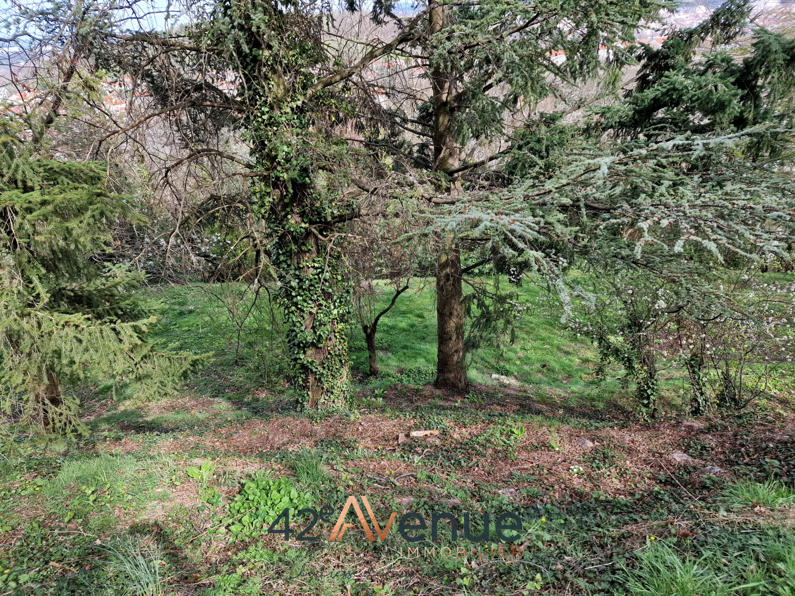 Image_, Terrain, Saint-Étienne, ref :2116