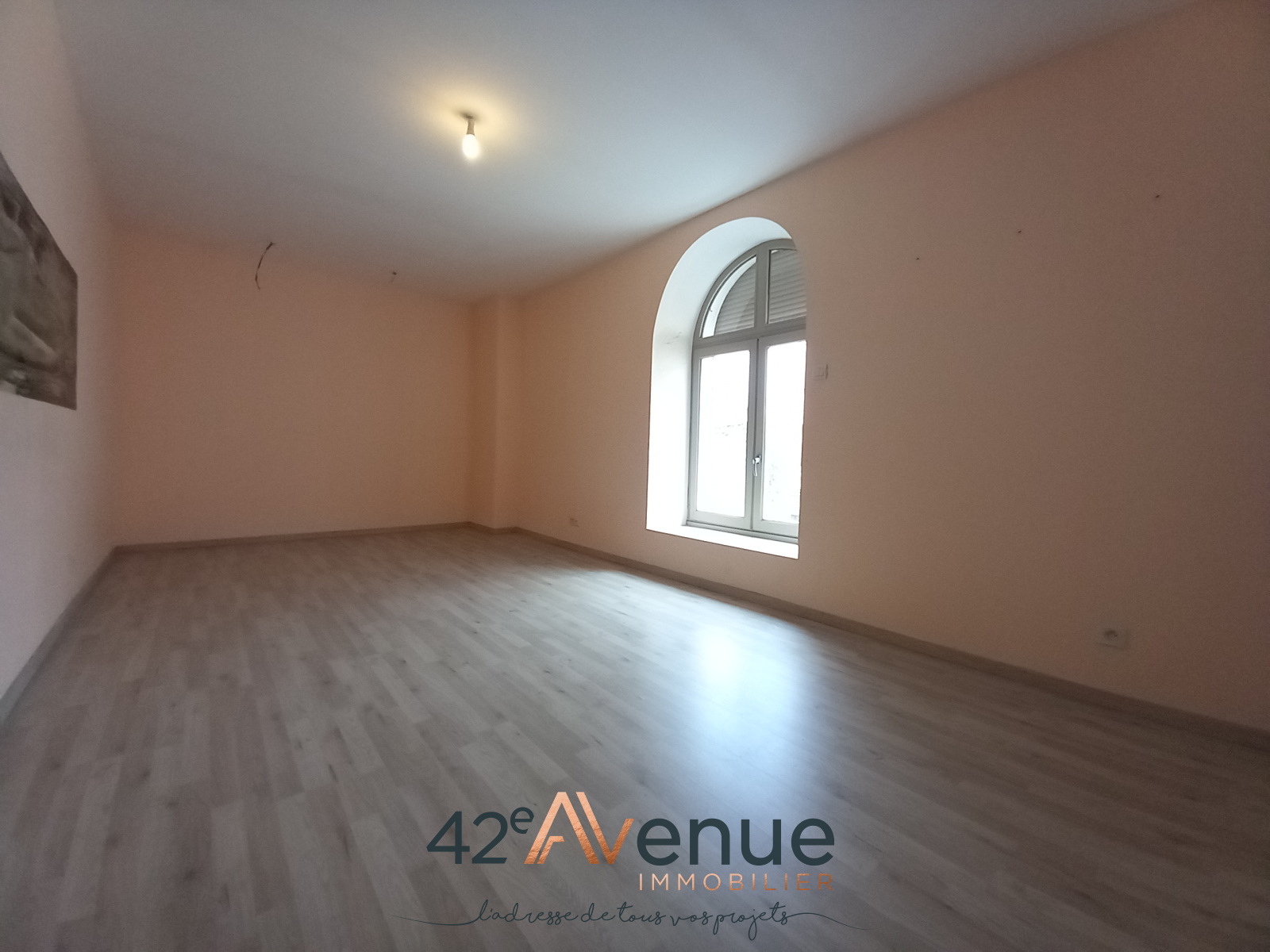 Image_, Maison, Rive-de-Gier, ref :2031AE