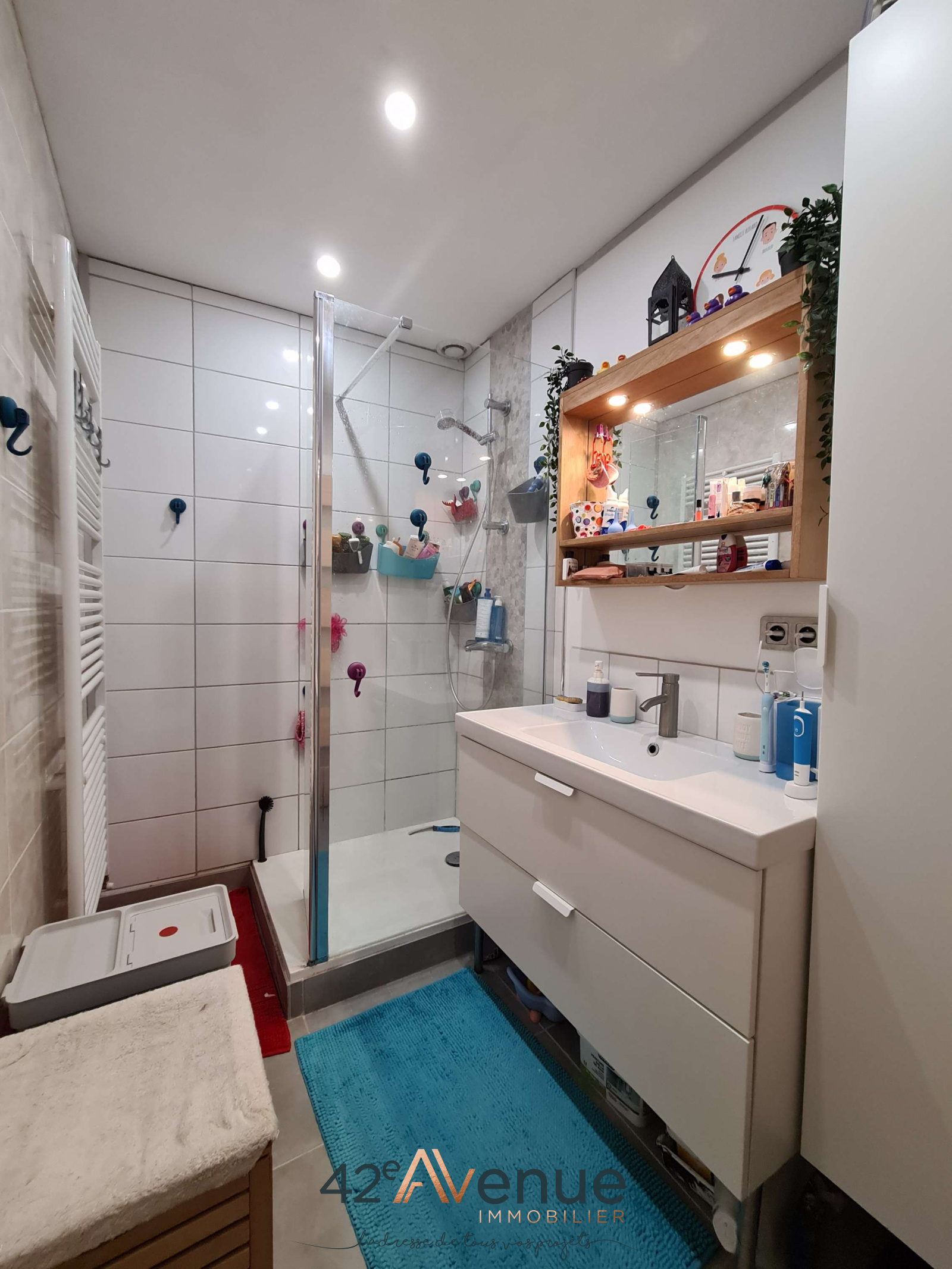 Image_, Maison, Saint-Étienne, ref :2292