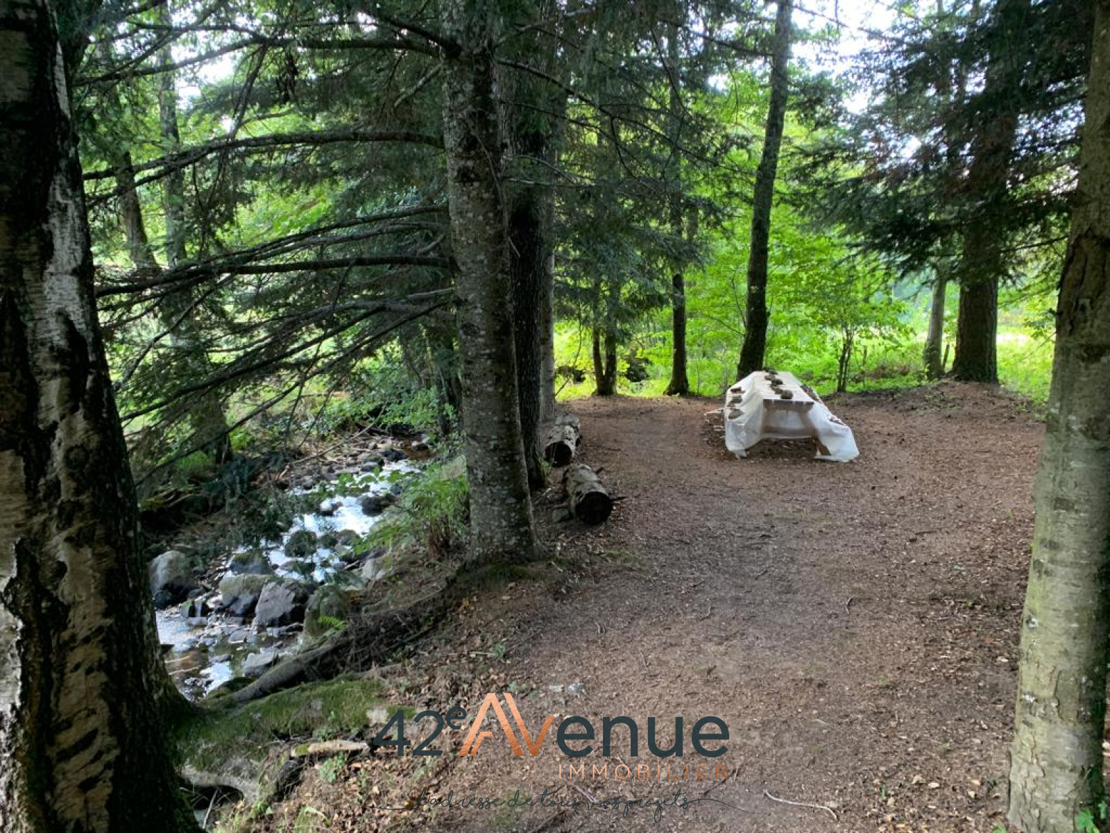Image_, Maison, Saint-Romain-Lachalm, ref :2086