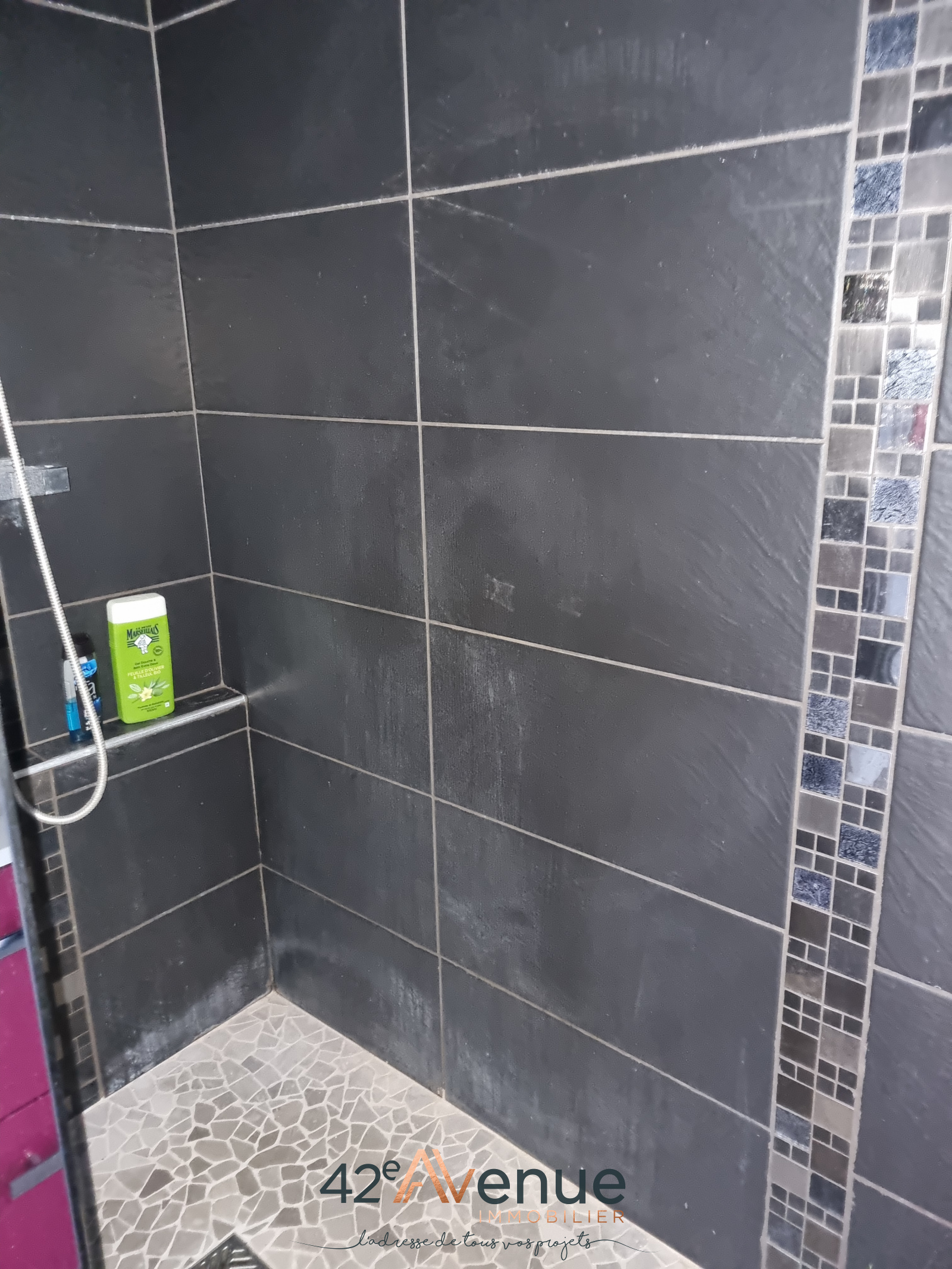 Image_, Appartement, Saint-Étienne, ref :2502