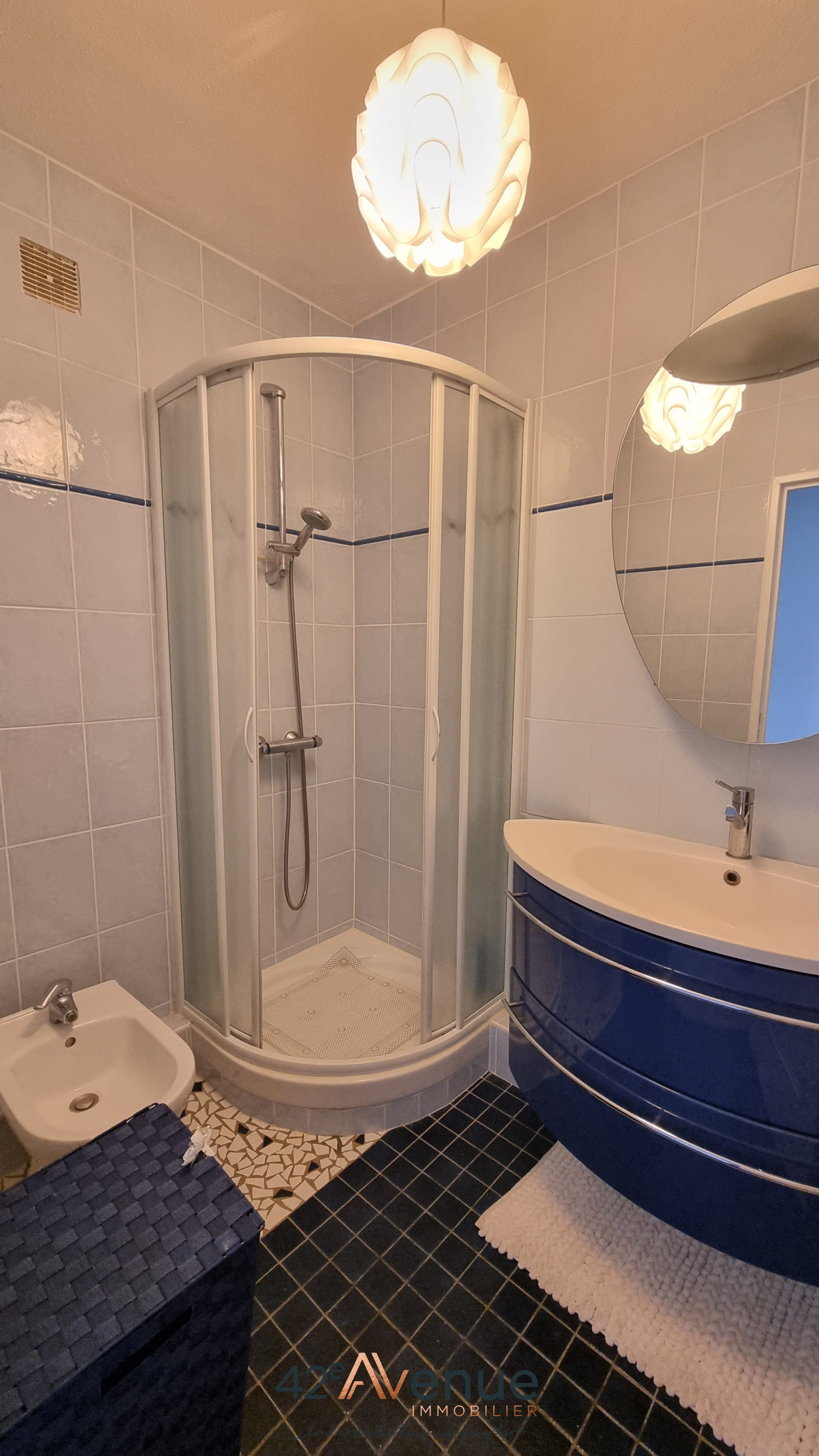 Image_, Appartement, Firminy, ref :2534