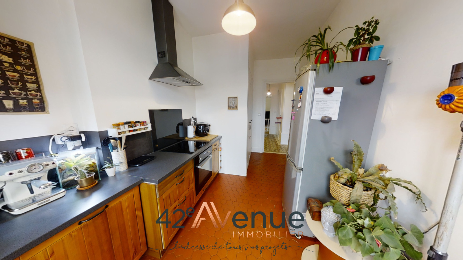 Image_, Appartement, Saint-Étienne, ref :1465-01